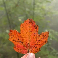 املاک صنعتی و کشاورزی