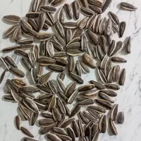 تخمه آجیلی ممتاز آفتابگردان S400|خوردنی و آشامیدنی|هشترود, |دیوار