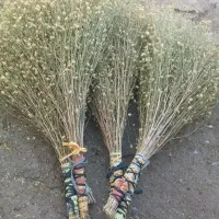 فروش جاروی کوهی دونه 60تومان