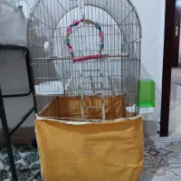 قفس در حد نو