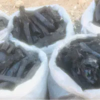 زغال|عمدهفروشی|شیراز, دروازه قران|دیوار