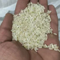 برنج اصل کامفیروزی|خوردنی و آشامیدنی|کامفیروز, |دیوار