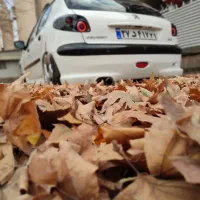 چراغ عقب هلا ۲۰۶