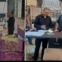 جذب نیرو جهت کار دفتری و اداری در میدان تره بار|استخدام مالی، حسابداری، حقوقی|تربتحیدریه, پائین ولایت|دیوار