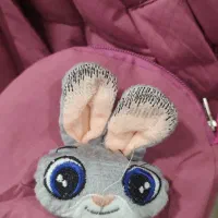 کاپشن وارداتی جودی هاپس|کفش و لباس بچه|اصفهان, باب الدشت|دیوار