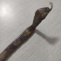 تسبیح هسته خرما کار دست نقره کوب شده|صنایع دستی و سایر لوازم تزئینی|تهران, مسعودیه|دیوار