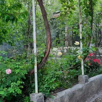 اجاره خانه ویلایی در دهبکری بصورت روزانه|اجارهٔ کوتاه‌مدت ویلا و باغ|بم, |دیوار