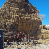 علوفه|لوازم جانبی حیوانات|نیر (اردبیل), |دیوار