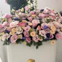 گل باکسی