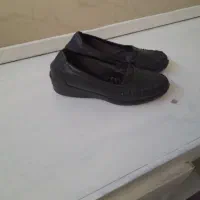 کفش زنانه|کیف، کفش، کمربند|اردبیل, |دیوار