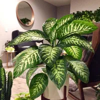 طراحی باغ و ویلا ،ساخت باغچهو نگهداری درختان|خدمات باغبانی و درختکاری|مشهد, امیریه|دیوار