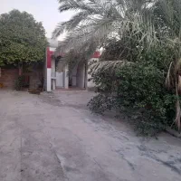 خانه مبله در چاهتلخ شمالی|اجارهٔ کوتاهمدت آپارتمان و سوئیت|دلوار, |دیوار