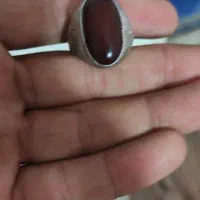 فقط معاوضه با کلاغ کربلای|کلکسیون و سرگرمی|مشهد, توس فردوسی|دیوار