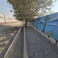 باغچه و باغ حول مسکونی /سرمایه گذاری رشدی