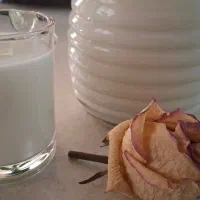 قارچ، دوغ و ماست کفیر اصل قفقاز|خوردنی و آشامیدنی|تهران, حکیمیه|دیوار