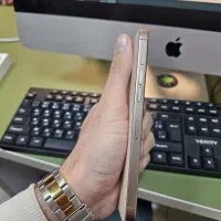 16promax|موبایل|رشت, باهنر|دیوار