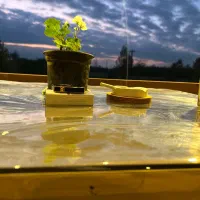 اجاره ی کلبه ی سوئیسی|اجارهٔ کوتاهمدت ویلا و باغ|طاهرگوراب, |دیوار