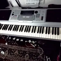 ارگ موکو 1000در حد