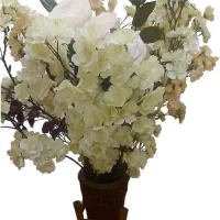 گلدان گل کنار سالنی  بسیار زیبا