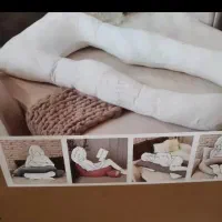 بالشت یو بارداری