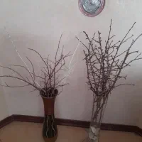 سبد سبزیجات، گلدان و گل|صنایع دستی و سایر لوازم تزئینی|شیراز, فرهنگ شهر|دیوار