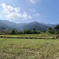 زمین ویلایی با ویو رویایی دریا و جنگل