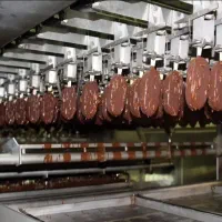 استخدام فوری در کارخانه تولید بستنی