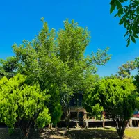 اجاره روزانه/هفتگی/ماهانه آپارتمان ۶۵ متری|اجارهٔ کوتاه‌مدت آپارتمان و سوئیت|فومن, |دیوار