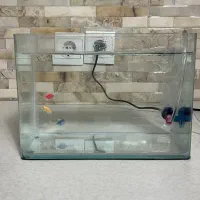 یه آکواریوم خوب و مینیمال و کوچولو