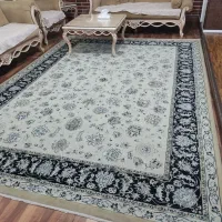 فرش  ماشینی ۹متری قالی سلیمان|فرش|لاهیجان, گلستان|دیوار