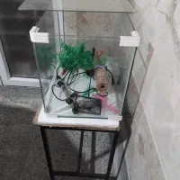 آکواریم خانگی با متعلقات و پایه فلزی
