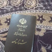 مدارک گمشده به اسم مهرداد امینی