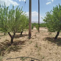 فروش باغ۵۶۰ متری محدوده پل زمانخان روستایی ش|فروش زمین و ملک کلنگی|اصفهان, آزادگان|دیوار