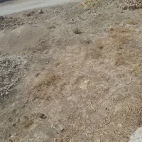 زمین کشاورزی