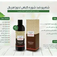 شامپو ضدشوره گیاهی لدورا هربال 300 میلی‌لیتر|آرایشی، بهداشتی، درمانی|تهران, شهرآرا|دیوار