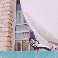 کفتر سینه سیاه (داراب)|پرنده|شیراز, شریف‌آباد|دیوار