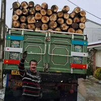 خرید چوب سرپایاقطع شده قیمت مناسب|خدمات باغبانی و درختکاری|آستانه اشرفیه, |دیوار