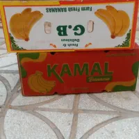 کارتونه موزی تازه