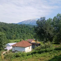 زمین‌جنگلی‌‌در‌قطعات‌مختلف سراوان/ کچا‌/جوکلبندان|فروش زمین و ملک کلنگی|سنگر, |دیوار