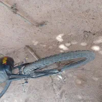 دوچرخه 26|دوچرخه، اسکیت، اسکوتر|تربت جام, میان جام|دیوار