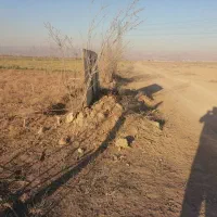 560متر زمین|فروش زمین و ملک کلنگی|قلعه نو, |دیوار