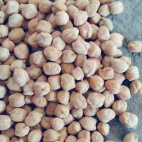 فروش نخود درجه یک