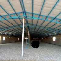 فروش مرغداری ۲۰هزاری|فروش دفتر صنعتی، کشاورزی، تجاری|شیروان (لرستان), |دیوار