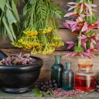 بدون هزینه طب سنتی یاد بگیر و کسب درآمد کن