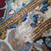 قالی کرمانی|فرش|رفسنجان, |دیوار