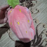 خرگوش عروسک|اسباب‌بازی بچه|زابل, |دیوار