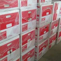 پکیج رادیاتور بوتان ایران لورچ ایساتیس|آبگرمکن، پکیج، شوفاژ|یزد, |دیوار