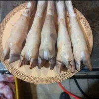 ذبح و قصاب گوسفند و گوساله( قصابی سیار )|خدمات پذیرایی، مراسم|اردبیل, |دیوار