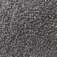 آلبالو خشک لوکس|خوردنی و آشامیدنی|تهران, منیریه|دیوار