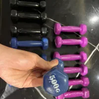 دمبل نو|تجهیزات ورزشی|کرج, شهرک دریا|دیوار